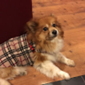 Meet your Posher, Eddy